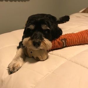 Meet your Posher, Claudine